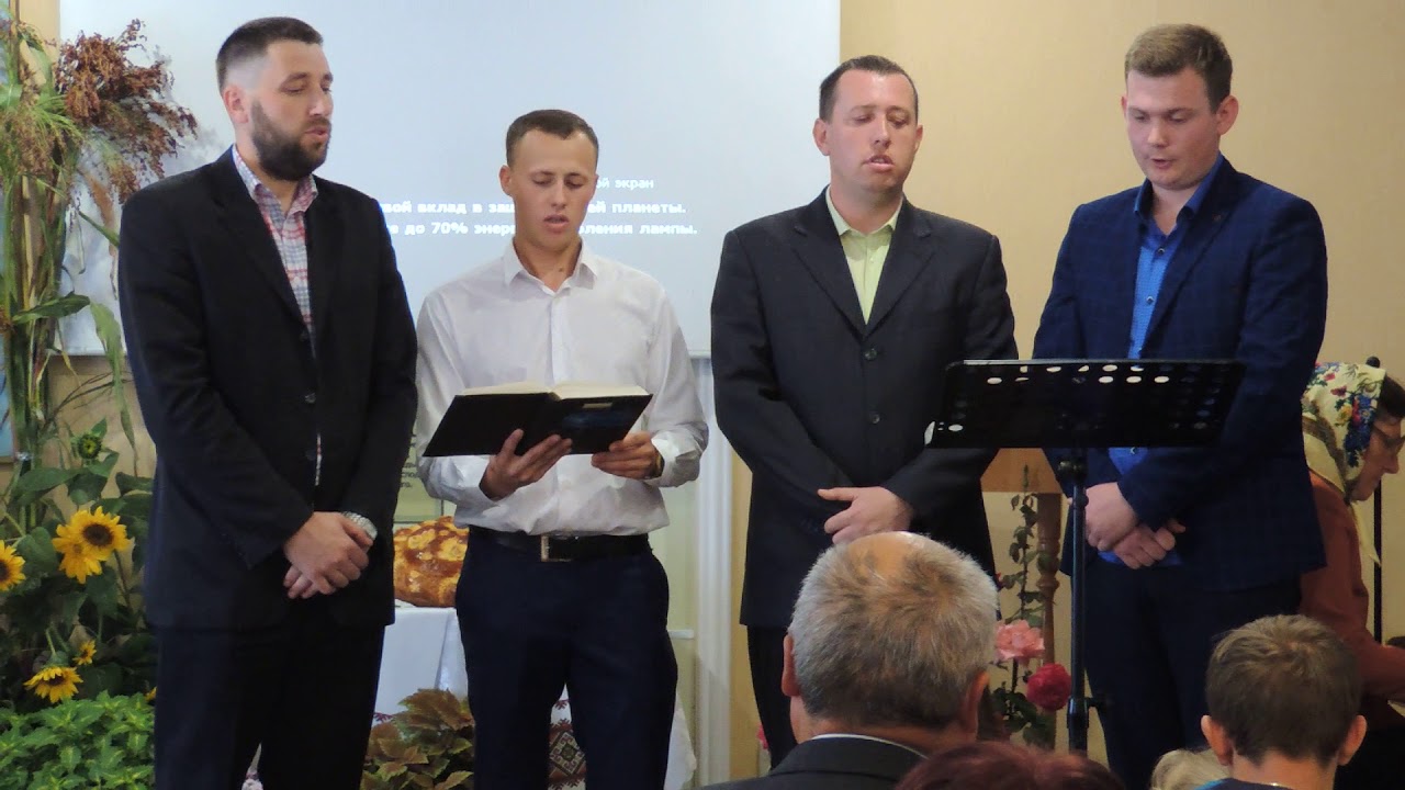 Поле моє, нива моя