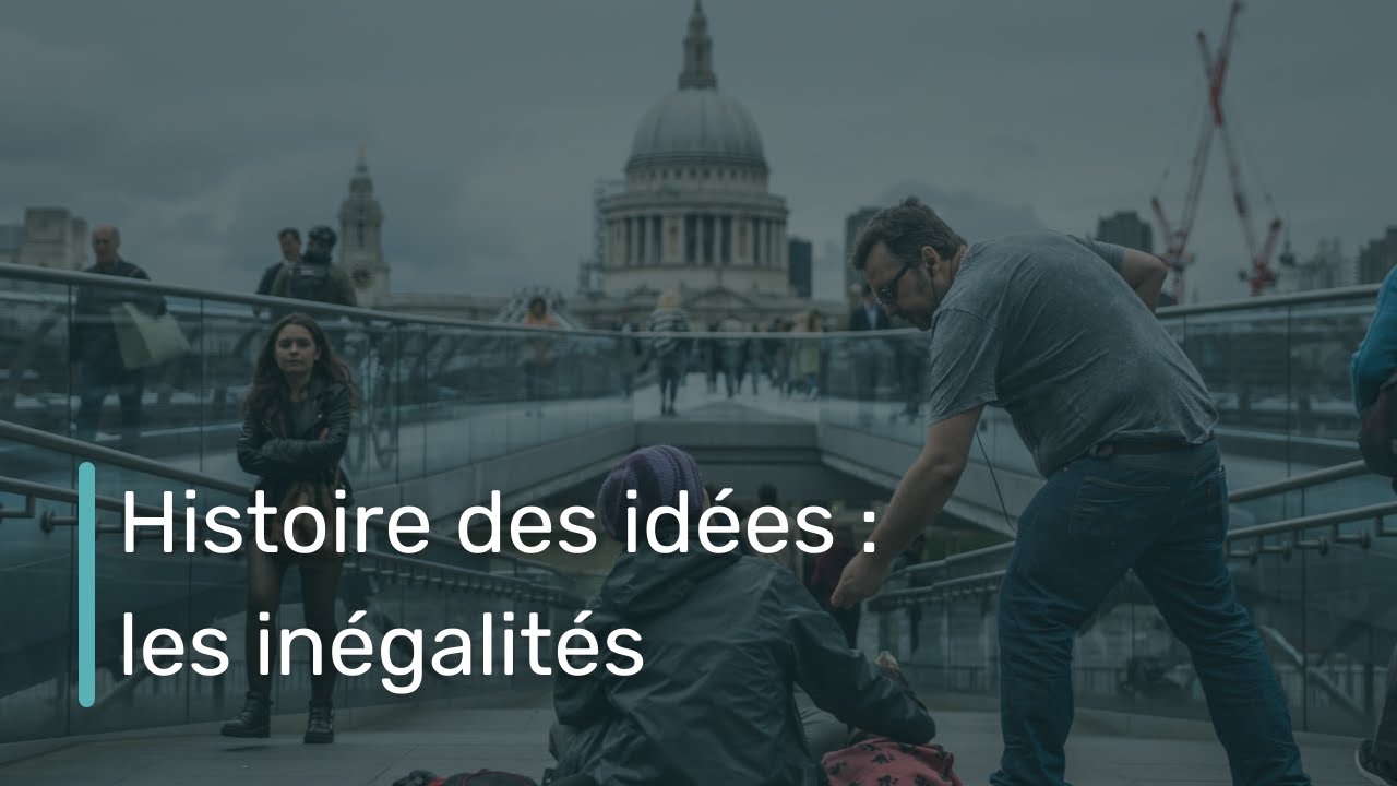 Histoire des idées : les inégalités - Des conséquences multiples et collectives | Le Pensophone
