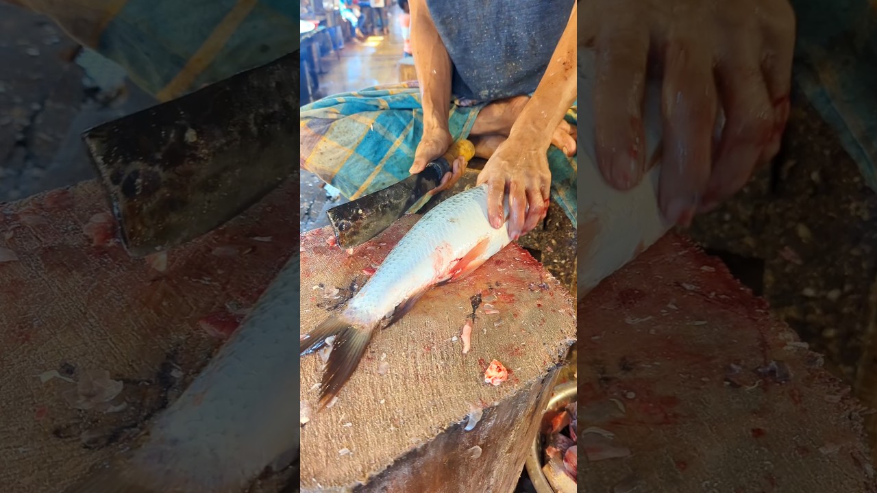 Amazing Big Mrigal Fish Cutting Skills Live In BD Fish#8Market