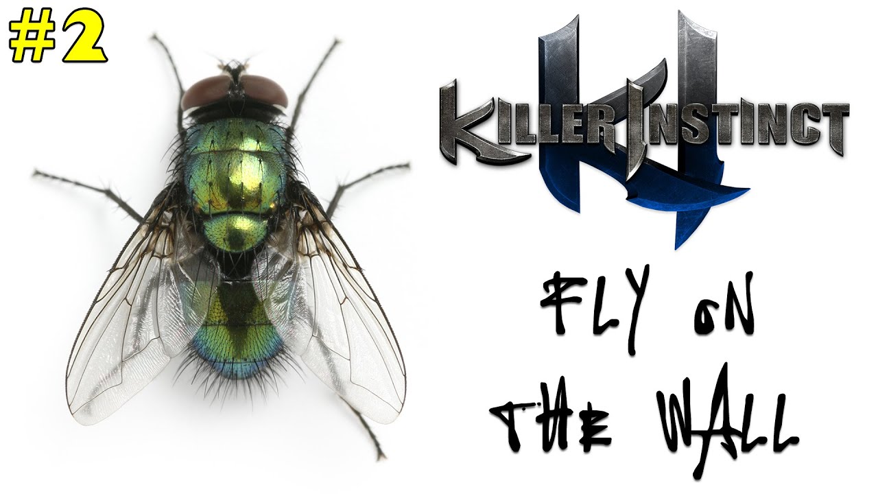 Killer Instinct - Fly on the Wall: ARE YOU STUPID!!! Video #2
