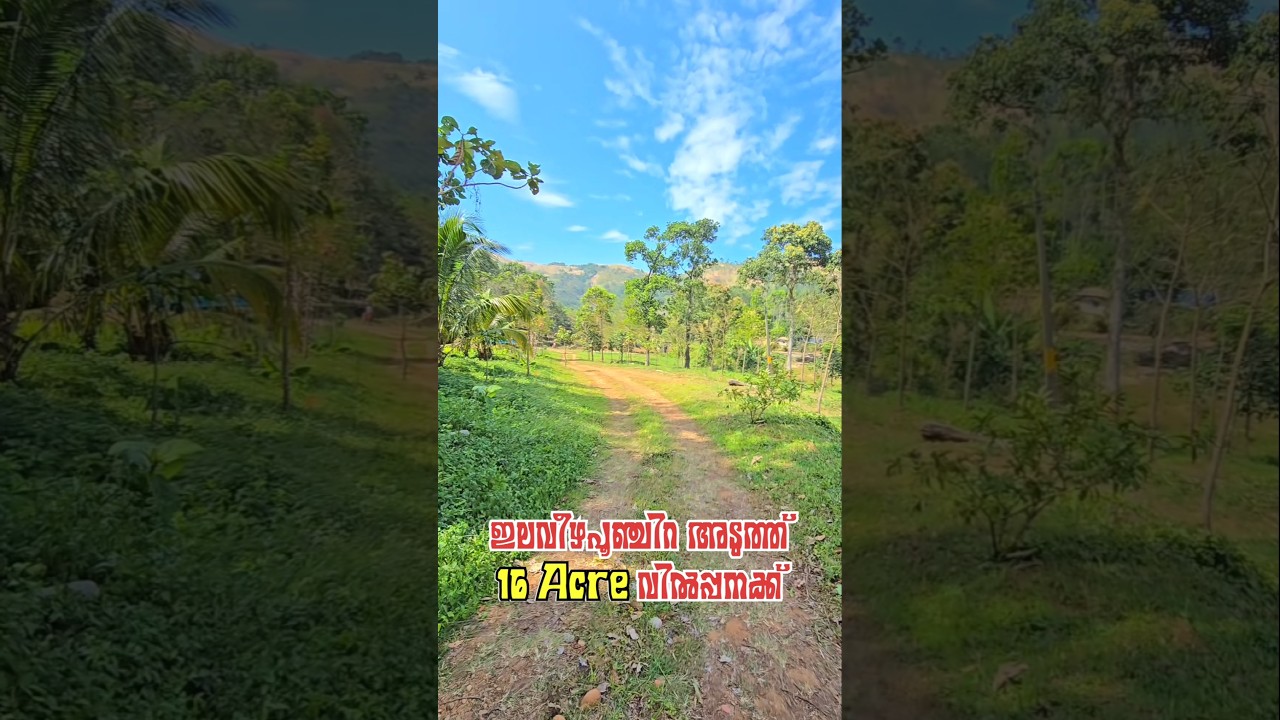 16 Acre Land for Sale near Ilaveezhapoonjira #landforsale #idukki #ilaveezhapoonchira #resort