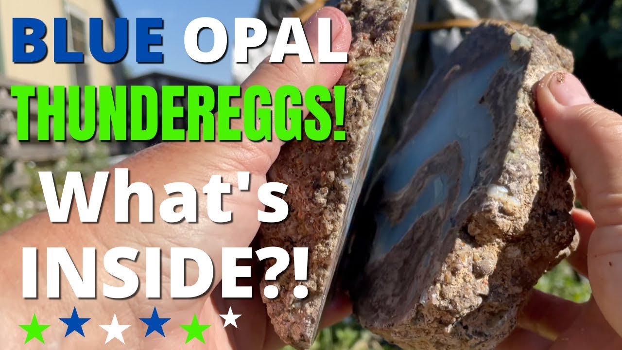 BLUE OPAL THUNDEREGGS: What's Inside?! Rock Hunting on a claim of the Owyhee Gem & Mineral Society