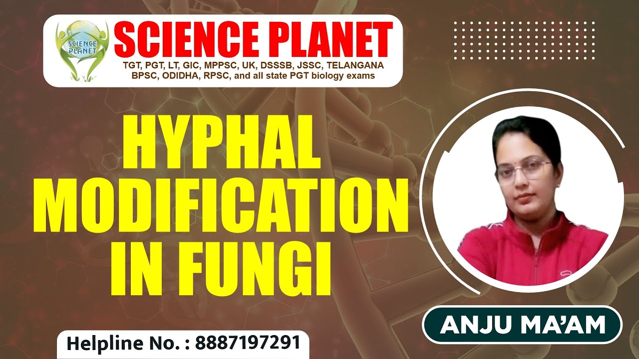 Explore Hyphal Modification in Fungi by Anju Mam of Science Planet!