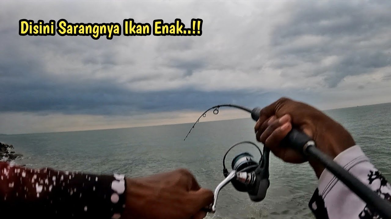 Cuma Mancing di Pinggiran Panen Ikan Enak...!!