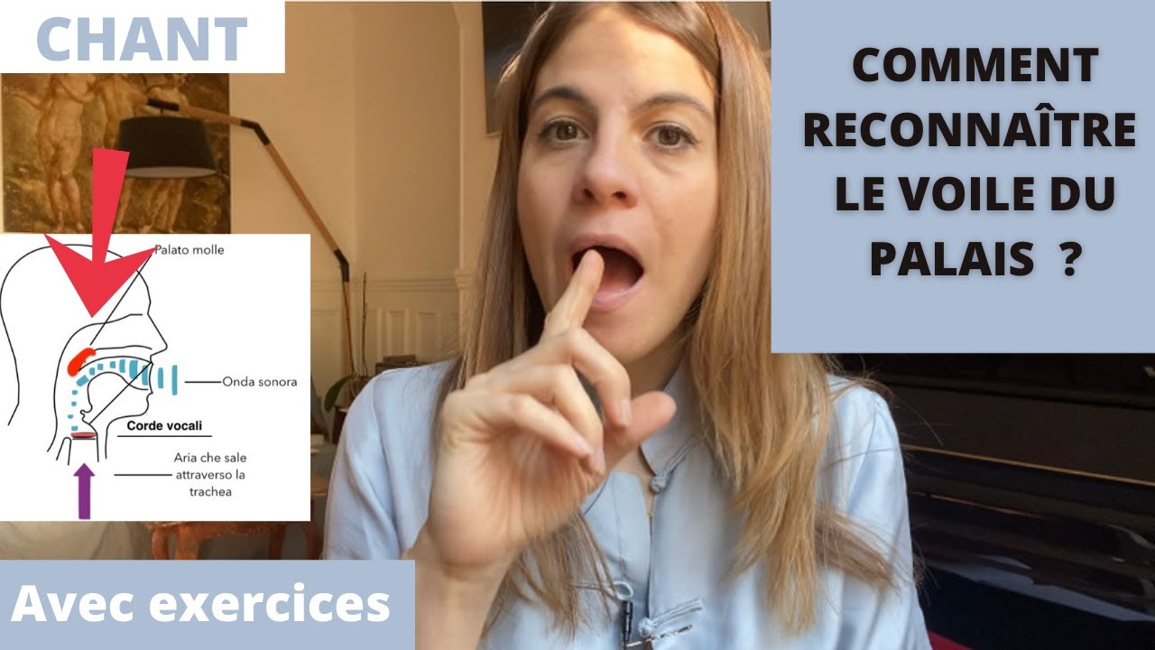 Qu'est-ce que le voile du palais et comment le soulever ?  #coursdechant