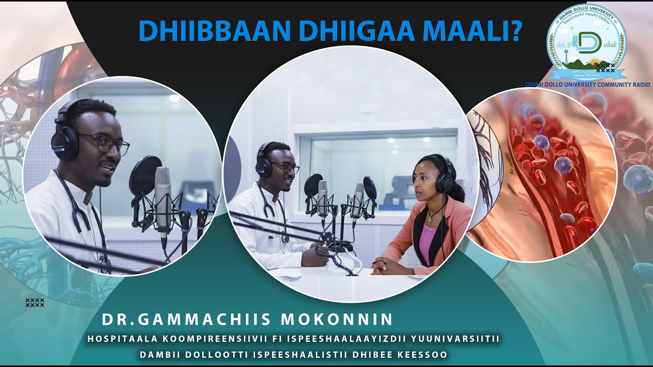 Dhiibbaan Dhiigaa Maali?, Akkamiin Nama qabuu danda’a?, Irraa of Eeguuf maal gochuu qabna?