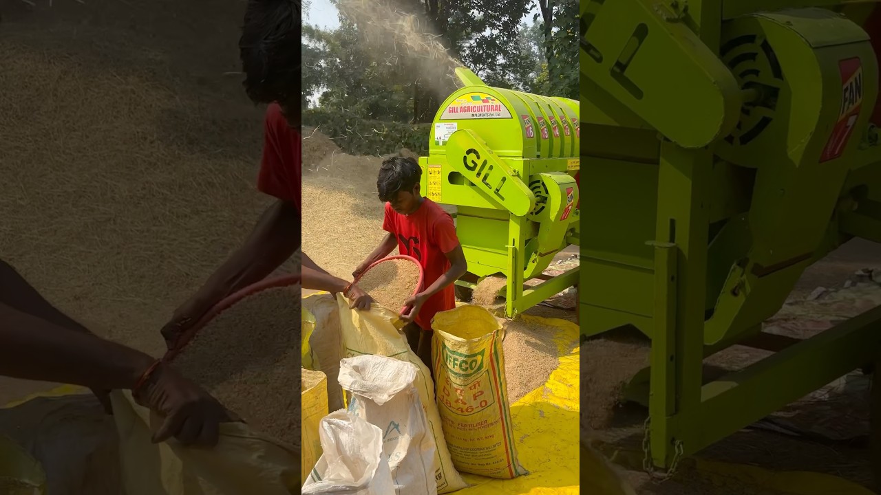 Best paddy thresher gill 7 fan model 😍😍#sonalika #sonalikatiger #paddy #kishan