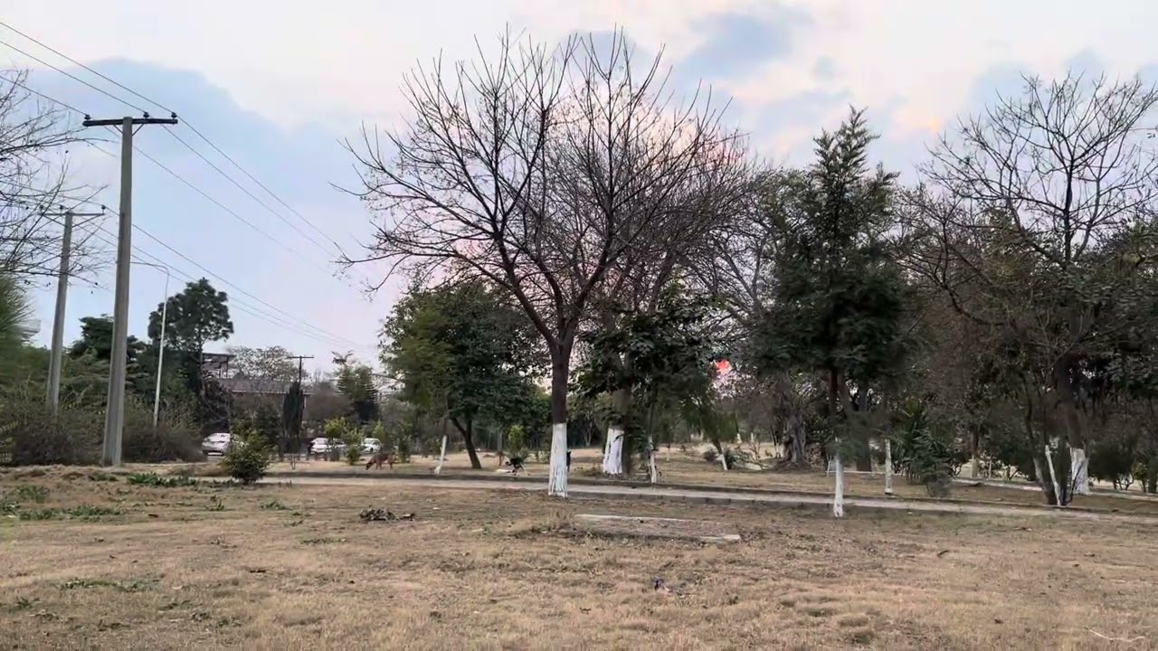 Bachon ki tarbiat || Vlog || Pashto92HD