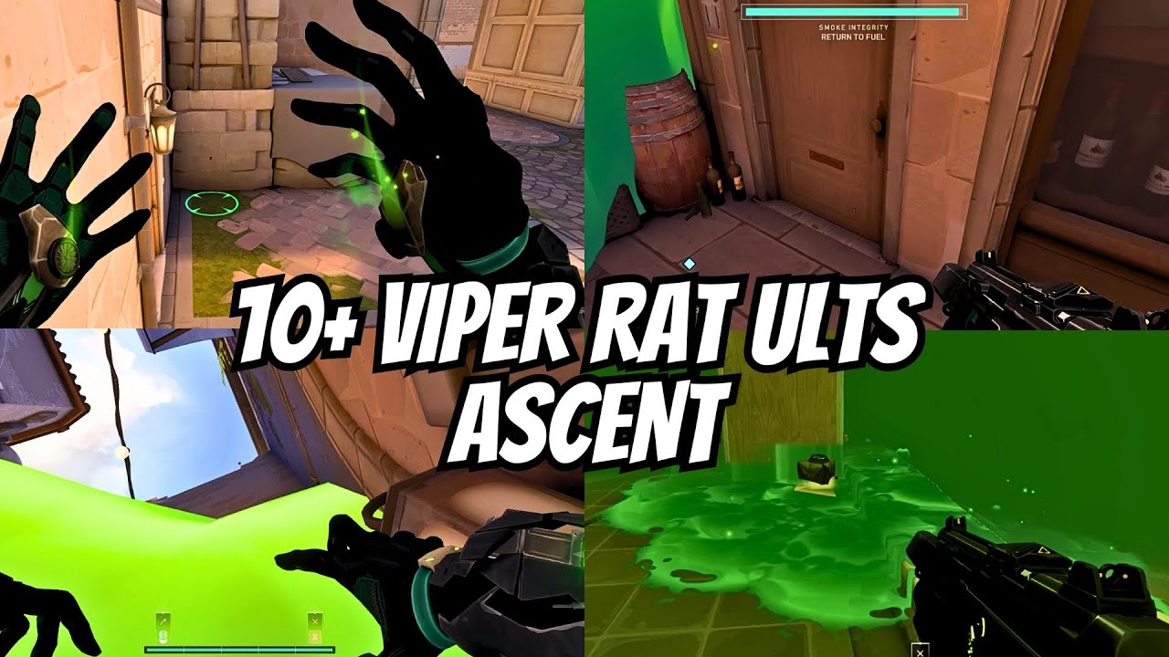 BEST Viper RAT Ults in ASCENT