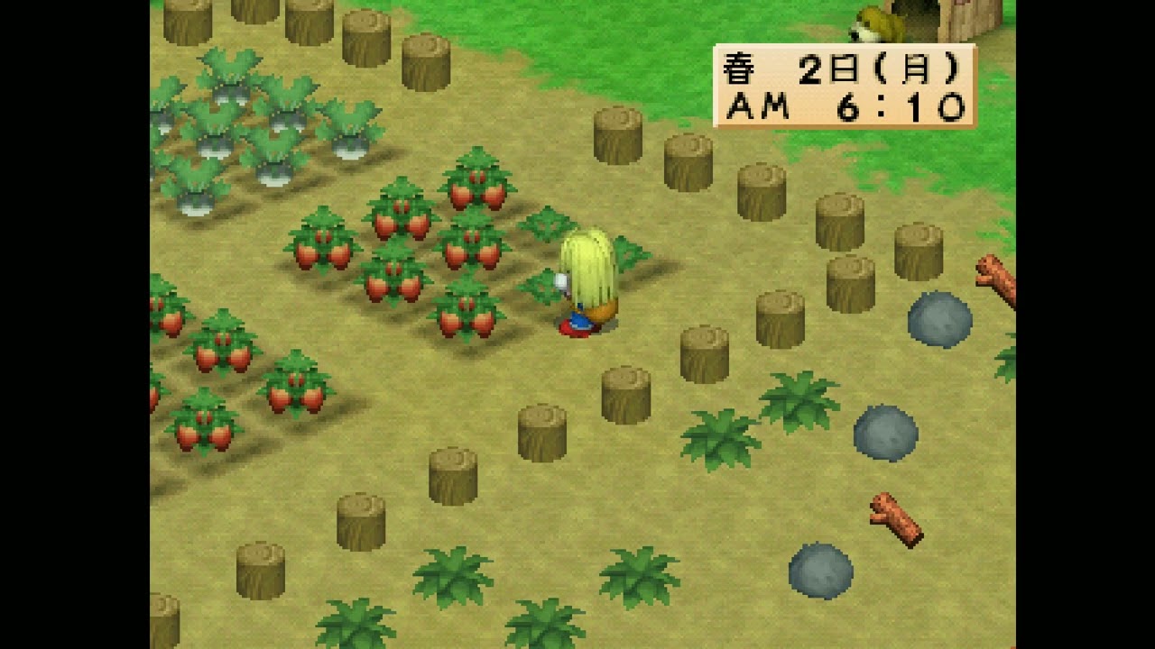 Bokujou Monogatari Harvest Moon for Girl Gameplay (PS1)