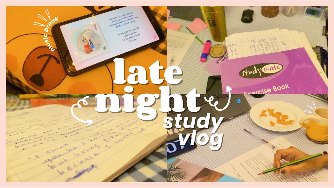 Late night Study Vlog🌃💻||යාලුවෝ හැමෝටම tote bags ??👜🤔😱||10PM-4AM Study Vlog📚🧫
