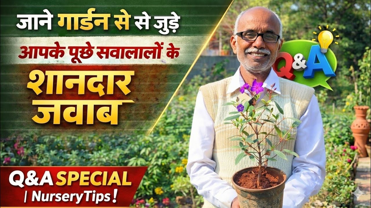 गार्डनिंग से जुड़े आपके सवालों के शानदार जवाब | Q&A Special | NurseryTips
