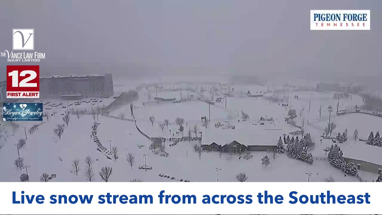 Snow is falling in parts of the South - watch here!
