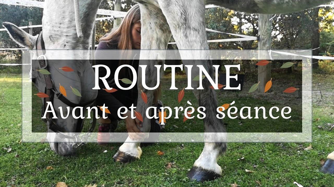 Routine avant et après séance !