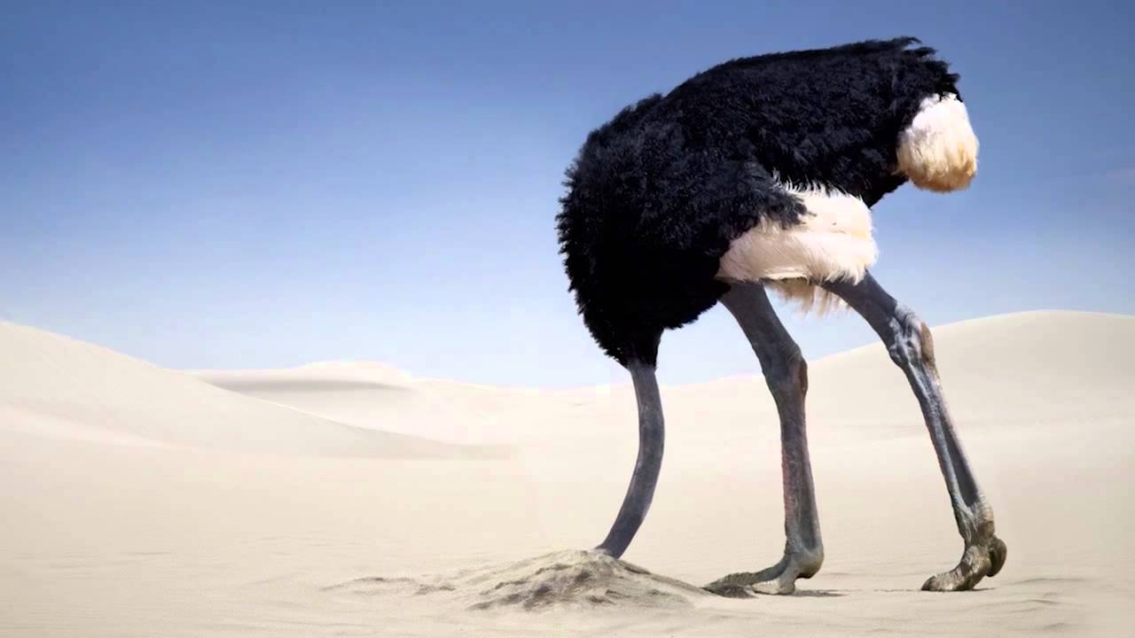 Facilitating Dysfunction: The Dysfunctional CEO