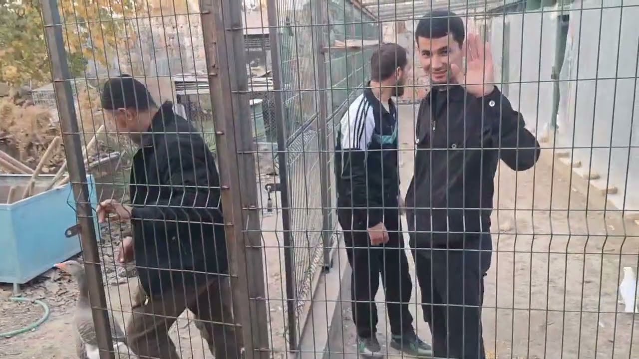 В Гостях.У Тилло- Ака. Питомнике 🔥
