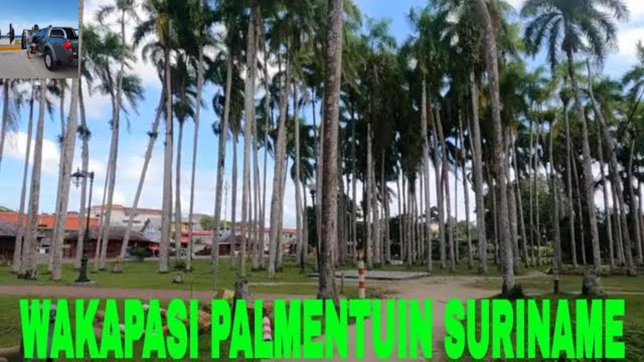 Walking in Palmentuin Suriname(Official Video)