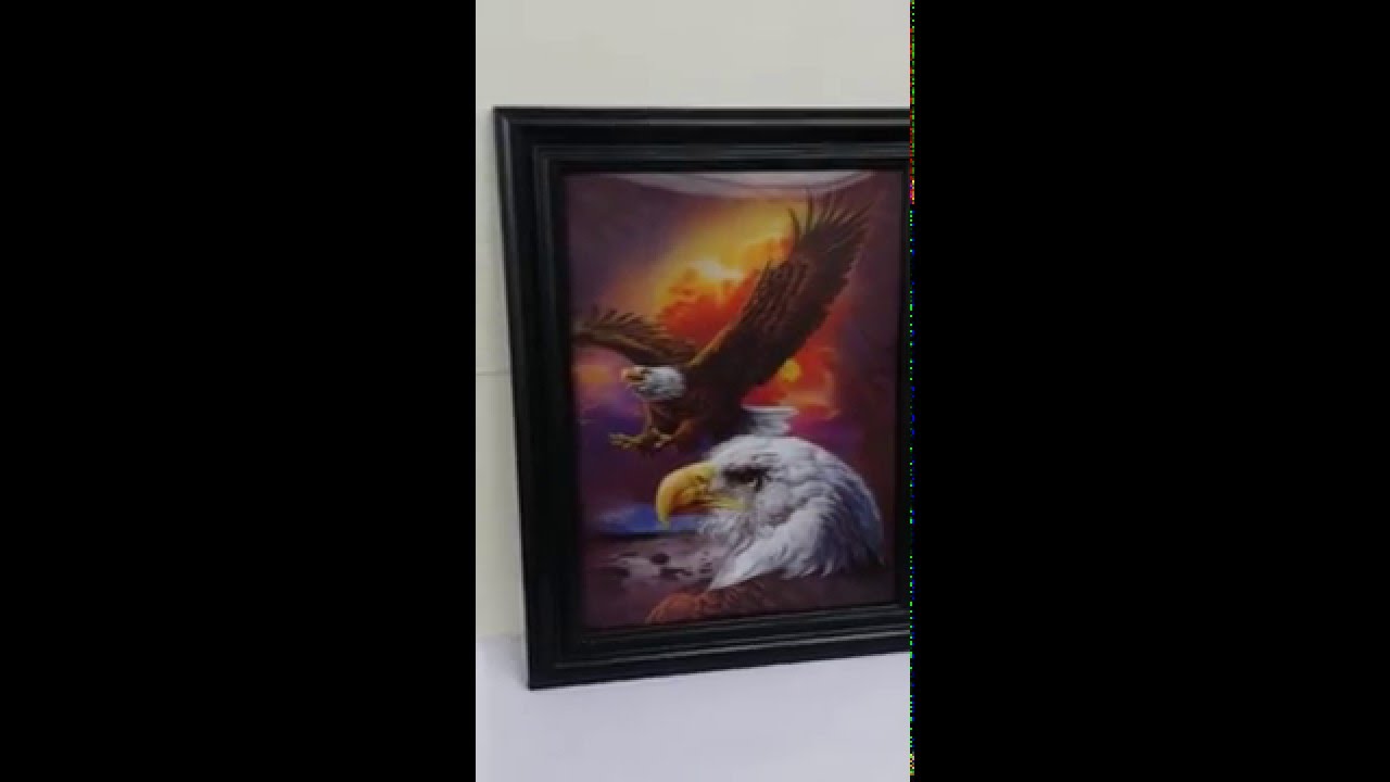Eagle 2 - 3D Lenticular Picture