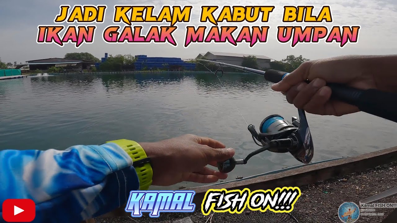 JADI KELAM KABUT BILA IKAN GALAK MAKAN UMPAN