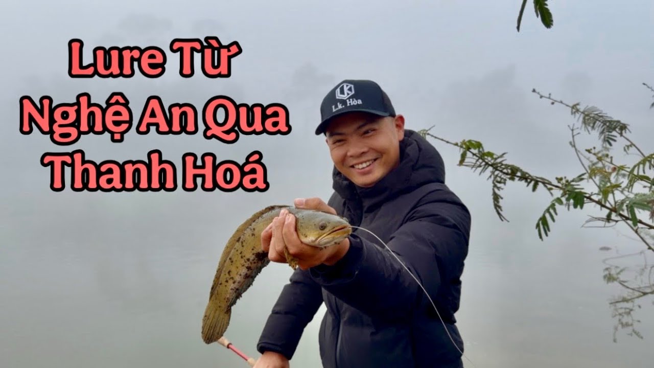 Lure Dạo Từ Nghệ An Qua Thanh Hoá, Lụm Đàn Chuột Rừng Trong Đêm Lạnh