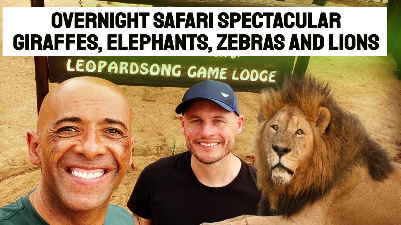 Overnight Safari Spectacular with Giraffes, Elephants, Zebras, and Lions at Leopardsong Game Lodge