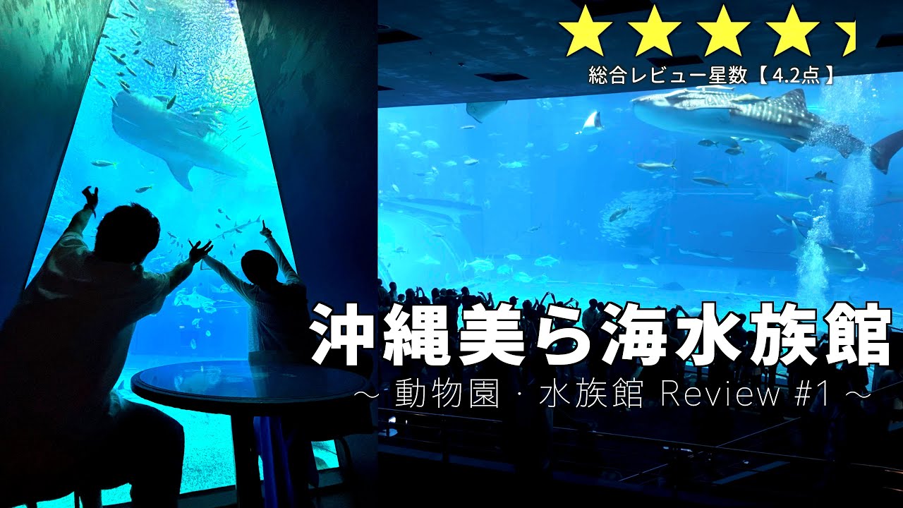 【至福の5時間滞在！ 】超巨大水槽カフェが最高！　沖縄美ら海水族館【動物園・水族館レビューシリーズ#1】