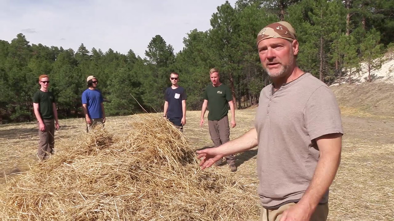 How to Build a Survival Shelter | Wilderness Survival | Survivorman Les Stroud