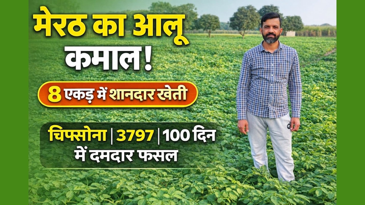 मेरठ के किसान कुलानंद राणा बता रहे आलू का पूरा गणित #saralkheti #meerut #potatofarming #coldstore