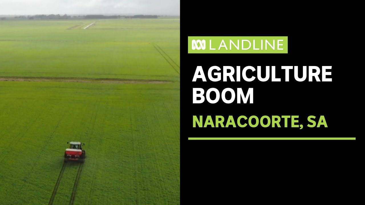 An agricultural boom : Making the most of good seasons and high prices | Landline