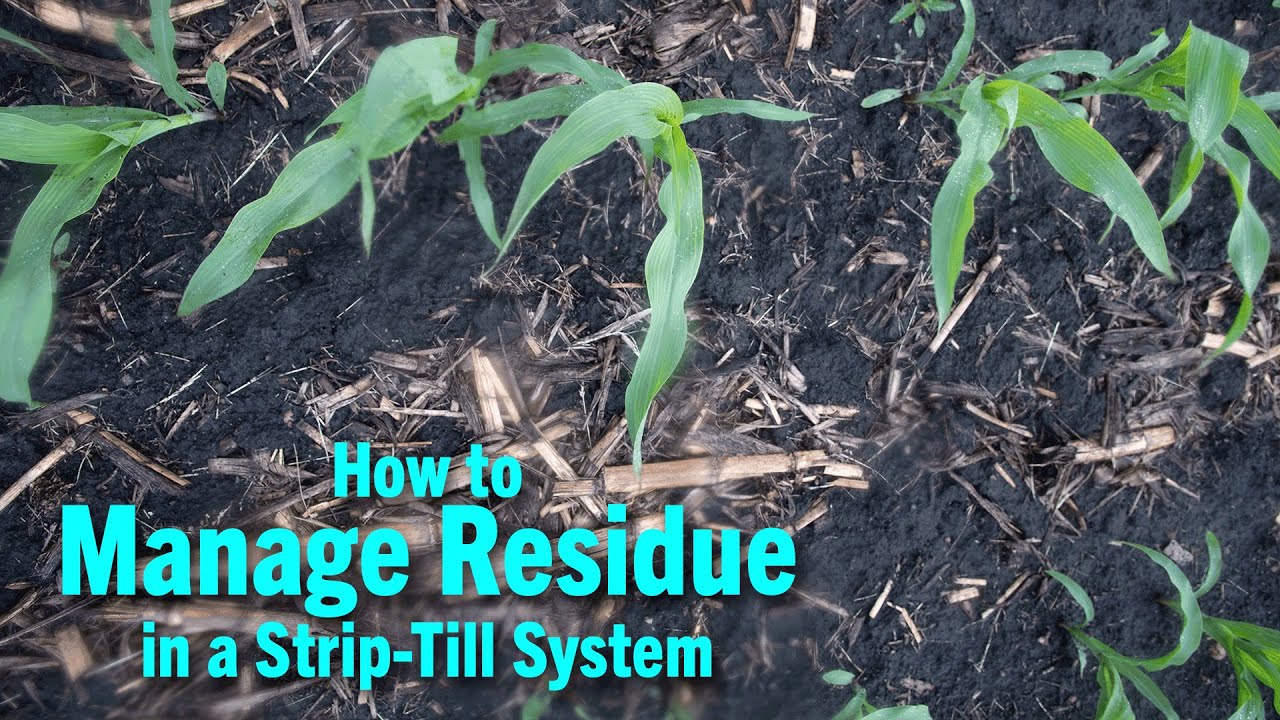 How to Manage Residue in a Strip Till System