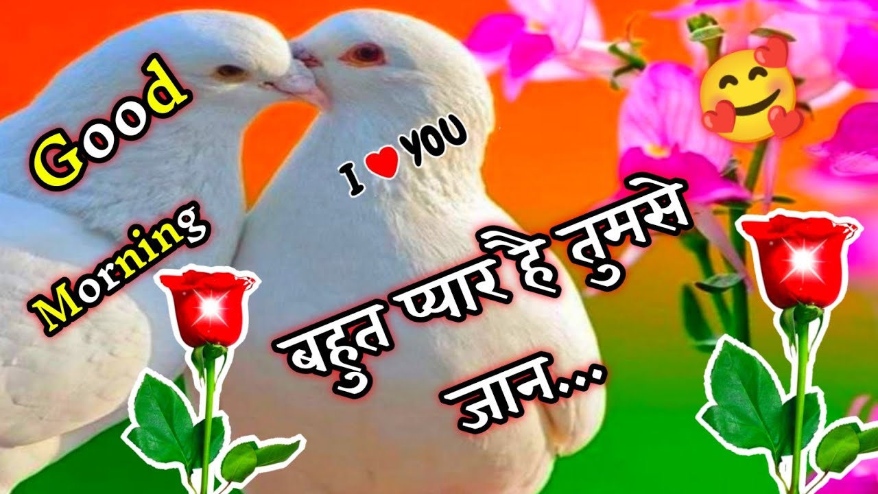बहुत प्यार है तुमसे जान 🌹 प्यार वाली गुड मॉर्निंग शायरी