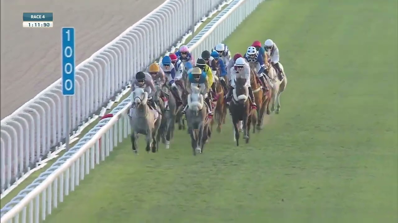 Moshrif (FR) QATAR GOLD SWORD - (Class 1 Gr1) International race 2100m