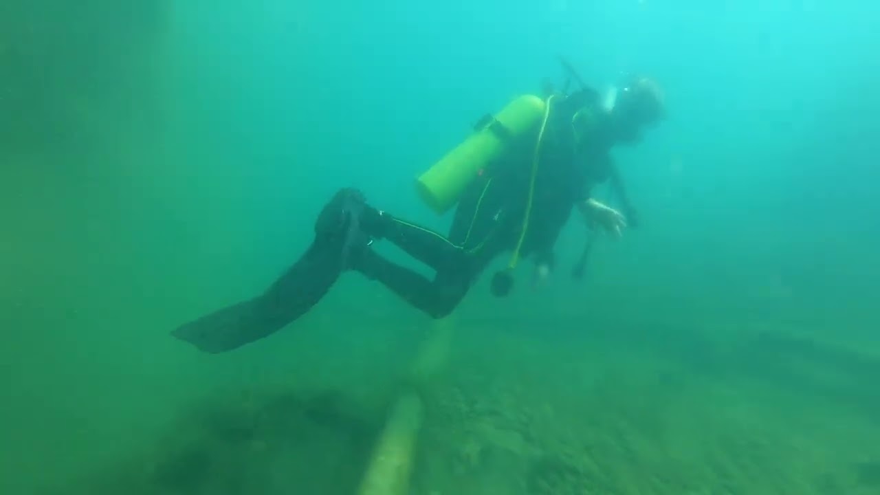 Diving at Vortex Springs
