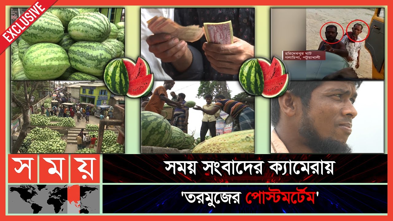 Exclusive: একটি তরমুজের জীবনচক্র: ক্ষেত থেকে যেভাবে পৌঁছায় ভোক্তার হাতে |Watermelon Market |Business
