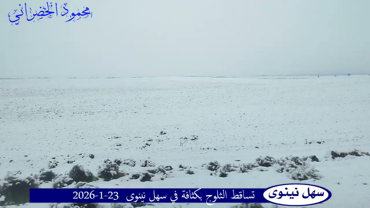 #تساقط_الثلوج #سهل_نينوى تساقط الثلوج في سهل نينوى 23/1/2026