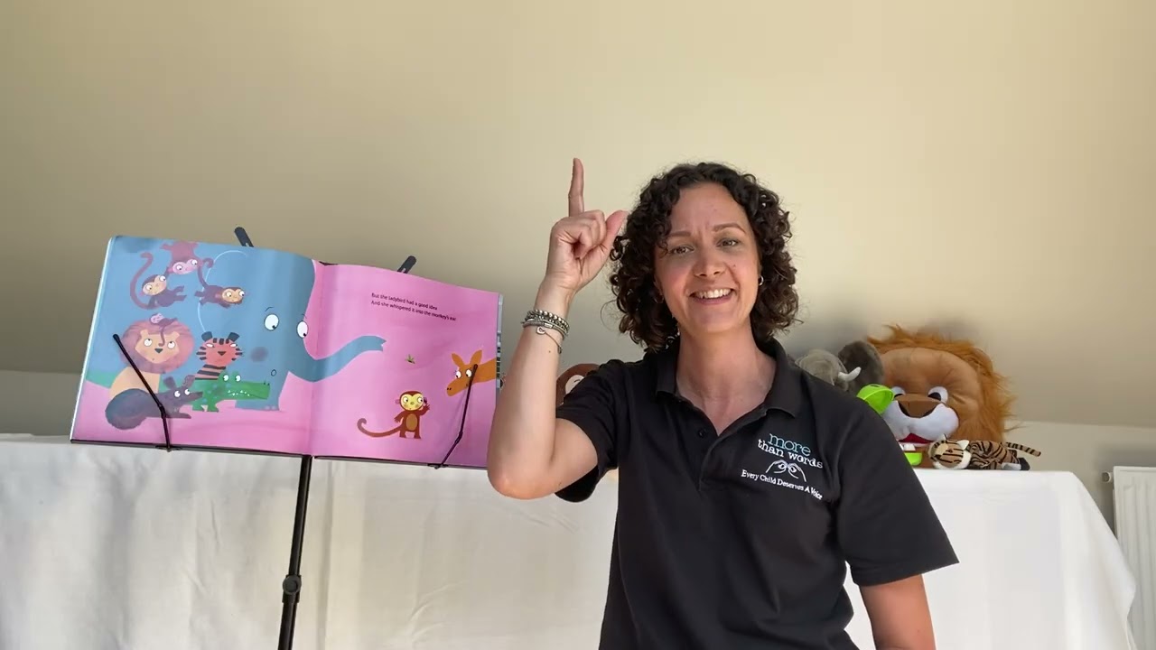 What The Ladybird Heard on Holiday by Julia Donaldson