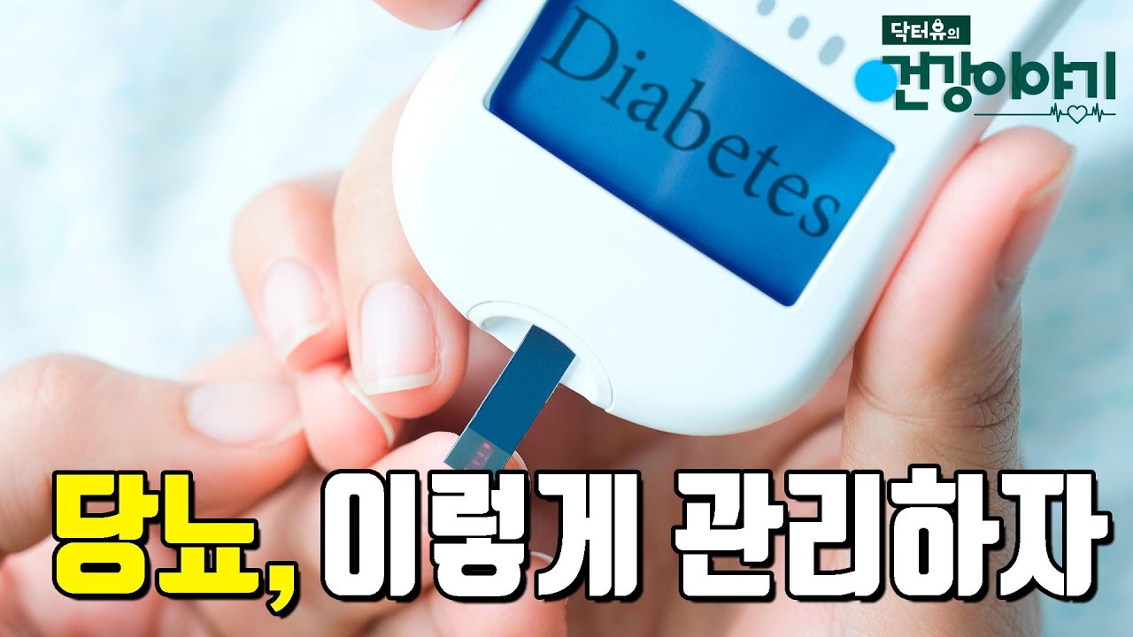 전당뇨부터 내당불내증, 당뇨, 합병증까지 이렇게 관리하자! [닥터유의 건강이야기]