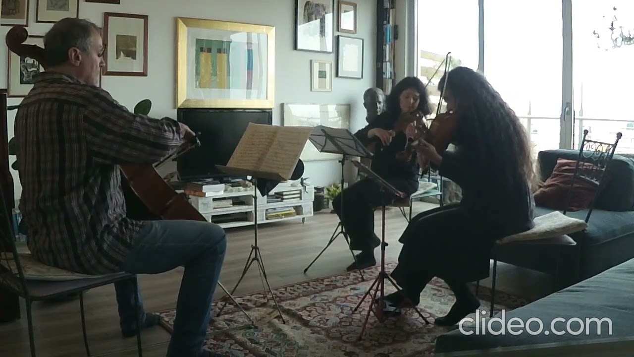 Schubert Trio D 471