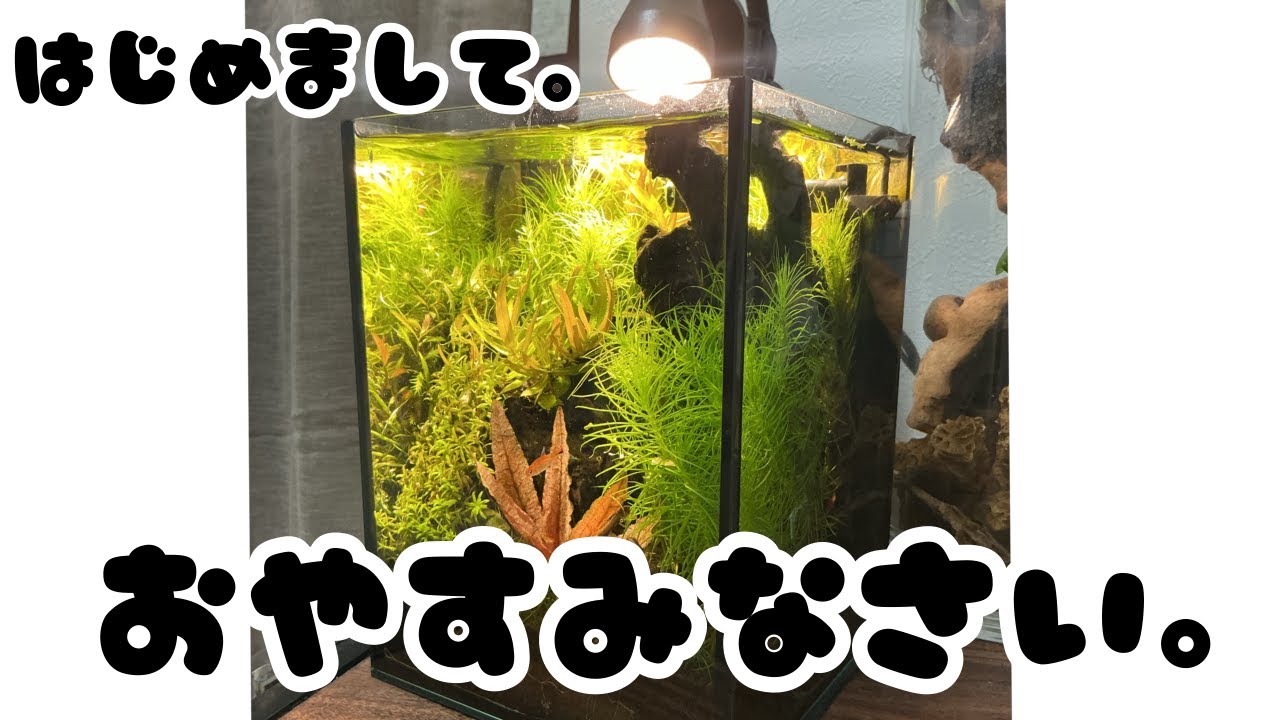 はじめまして