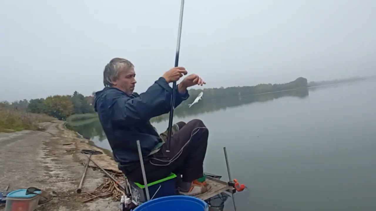 Уклейка осенью на мах.