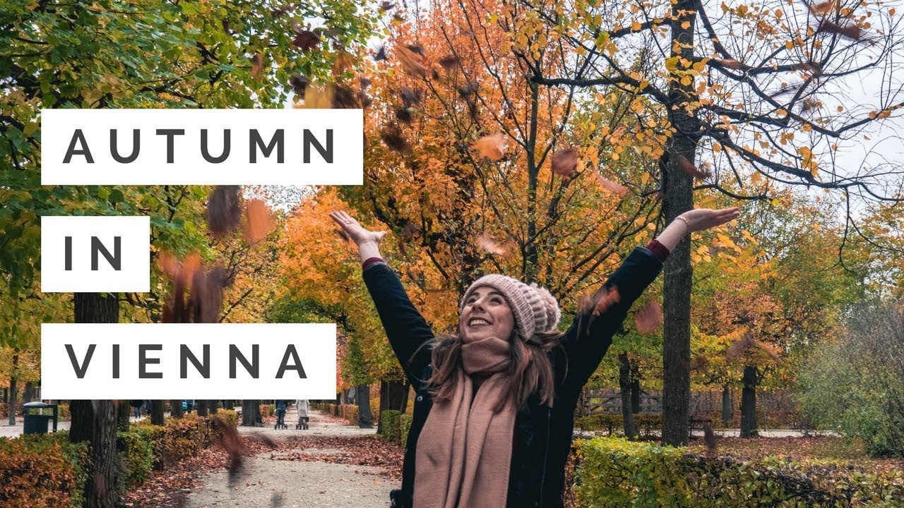 How to Spend an Autumn Day in Vienna
