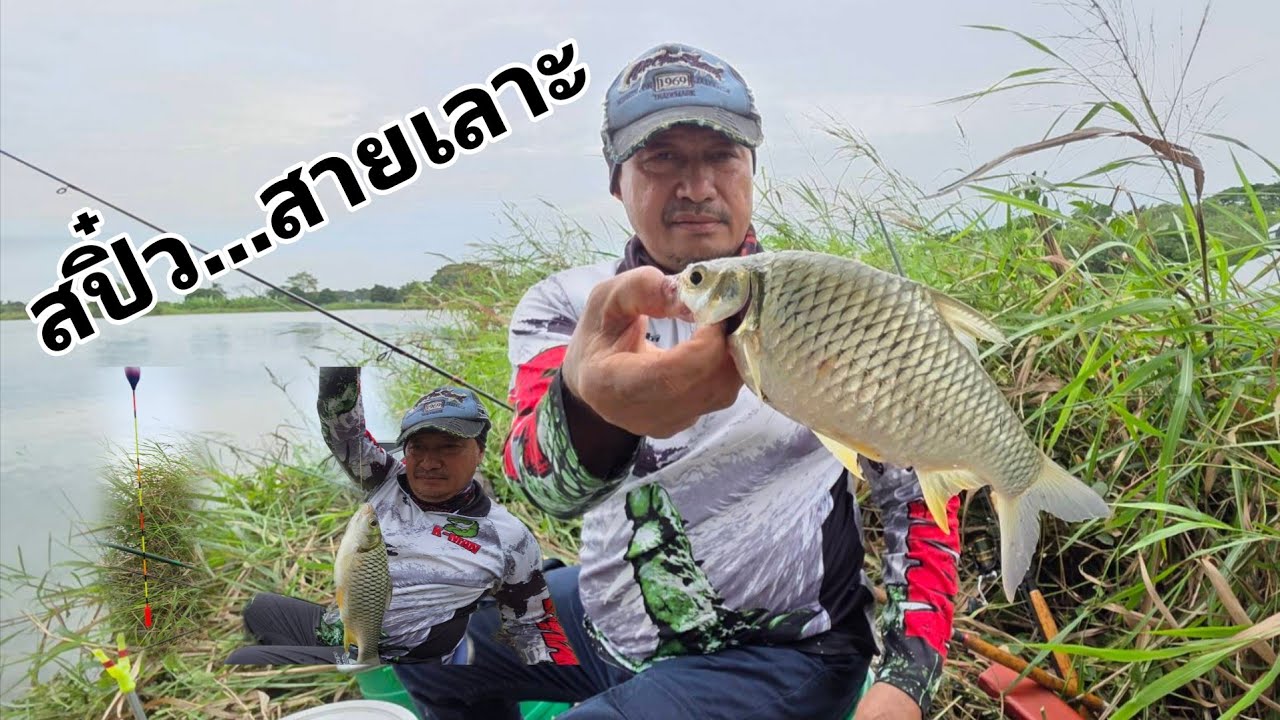 เปิดหมายตกสปิ๋ว ปลาชนิดไหนที่เข้ากิน/ควรเลือกตกปลาชนิดไหนก่อน #ตกสปิ๋วEP.171