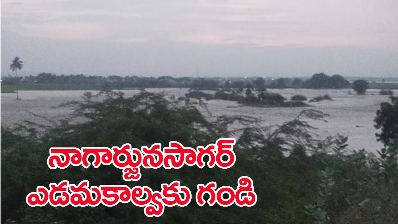 నాగార్జునసాగర్ ఎడమకాల్వకు నిడమానూరు దగ్గర గండి || Nagarjuna Sagar Left Cannel