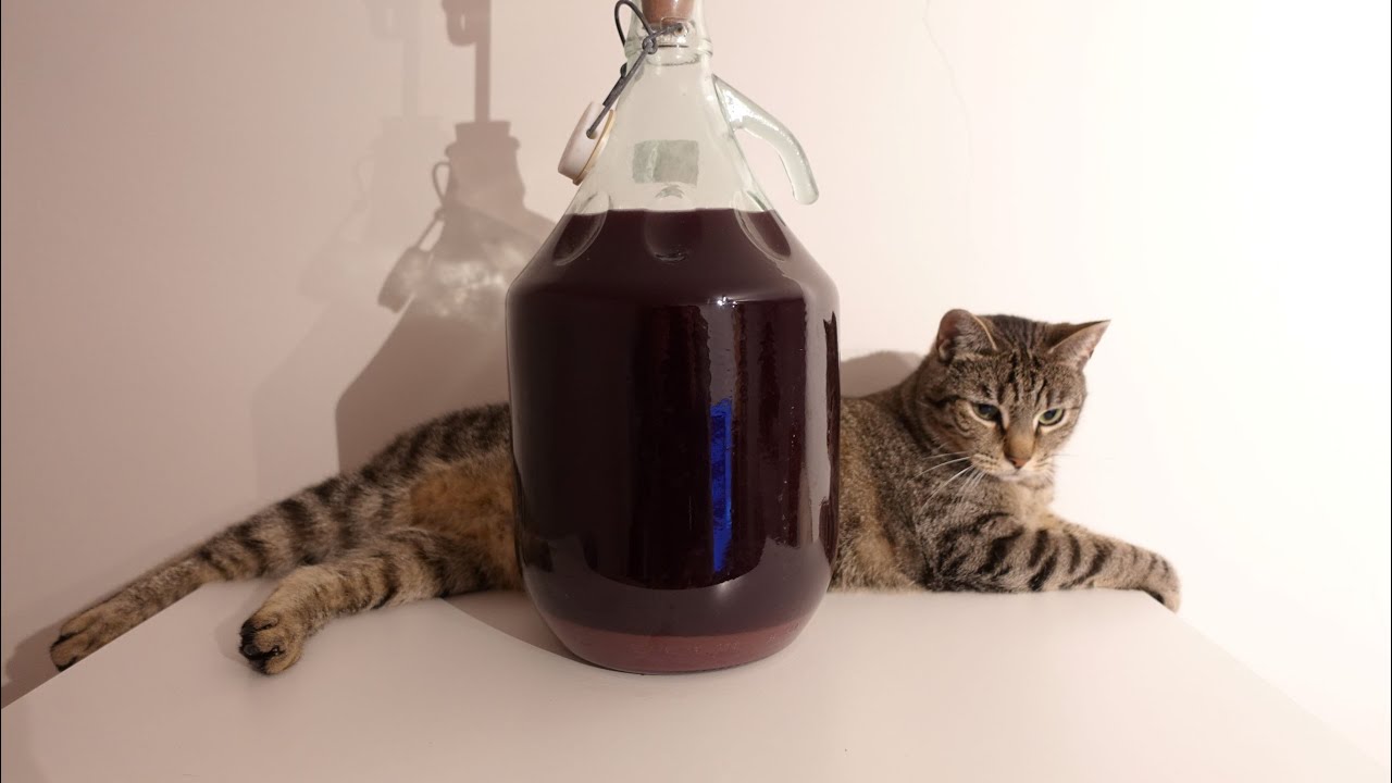 Wino z własnych winogron cz. 2