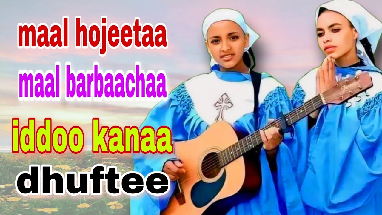 Maal hojeetaa maal barbaachaa iddoo kanaa dhuftee