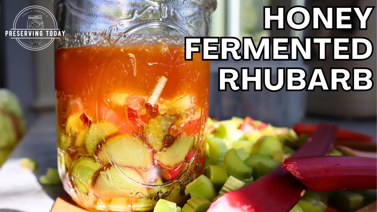 Honey Fermented Rhubarb