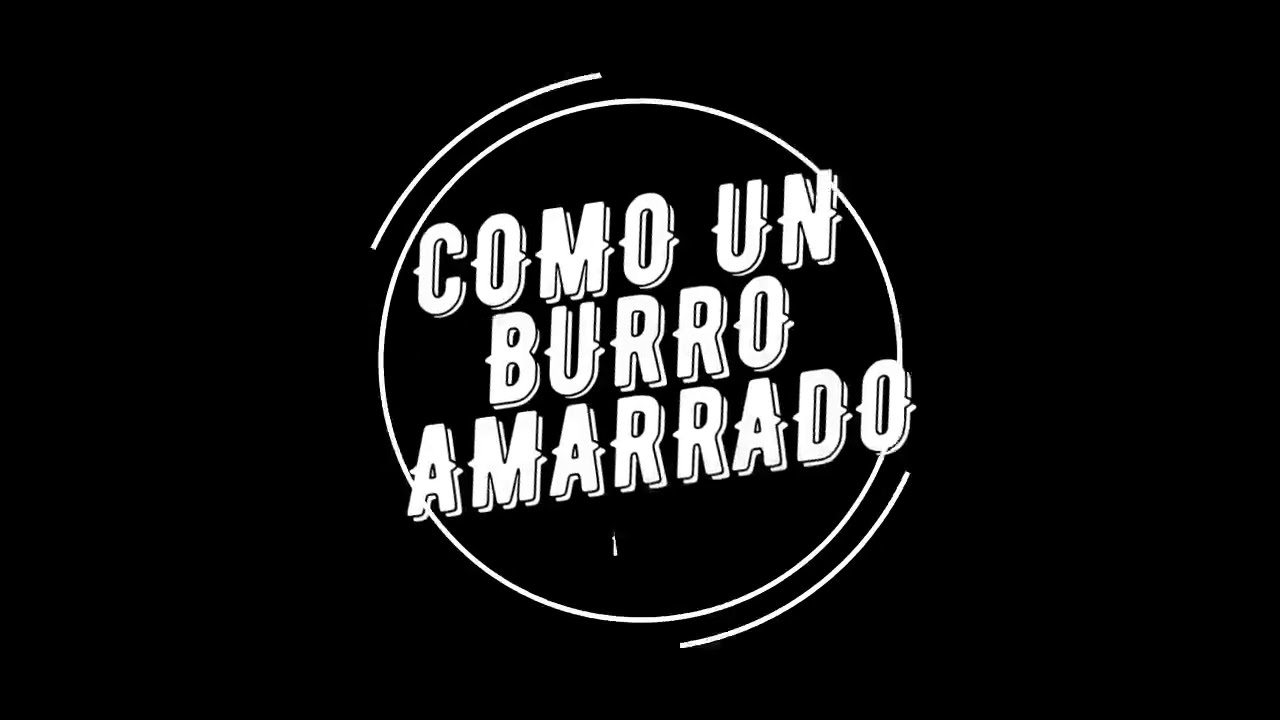 COMO UN BURRO AMARRADO EN LA PUERTA DEL BAILE DRUMS