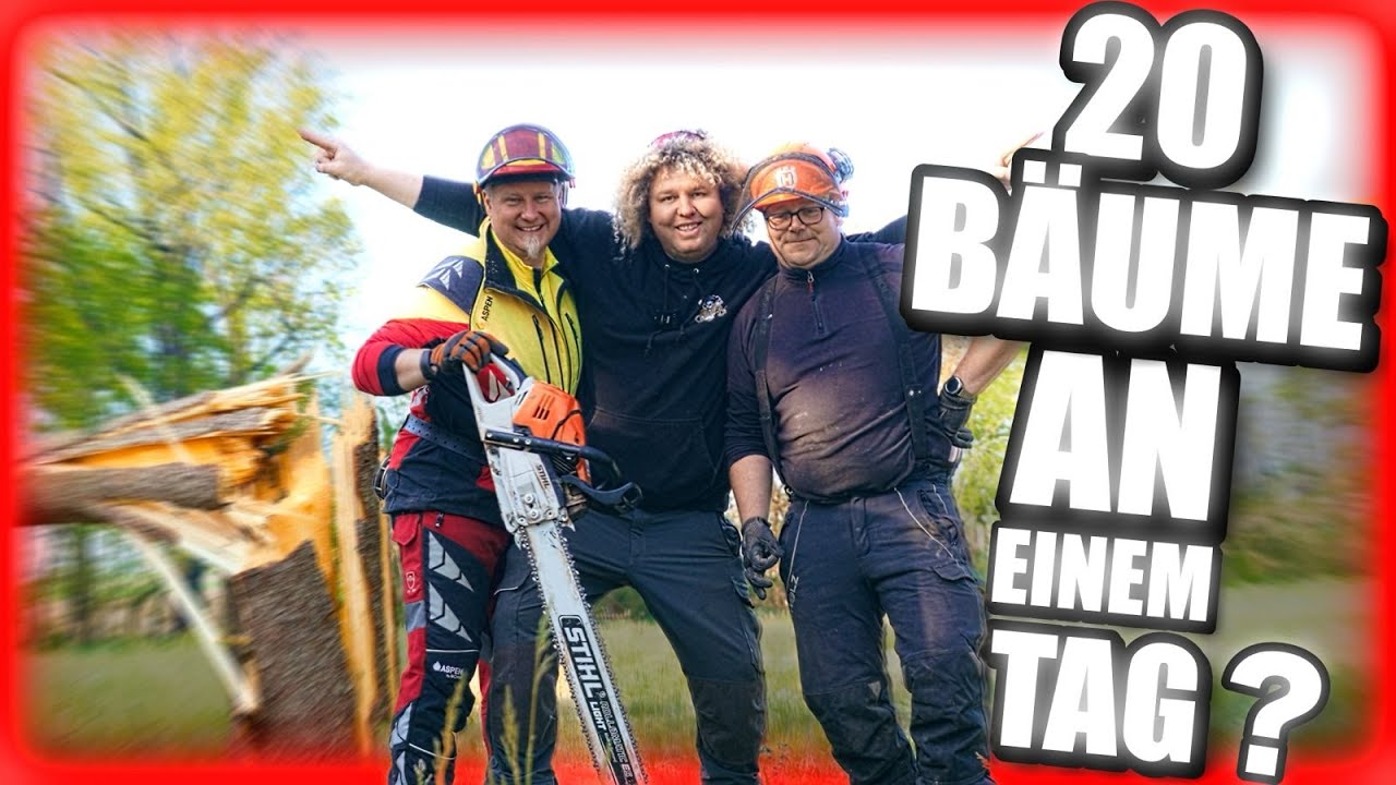 Baumfällung mit Jochen | Fürs Hoffest 2025: Sicherung & Holzgewinnung im Wald