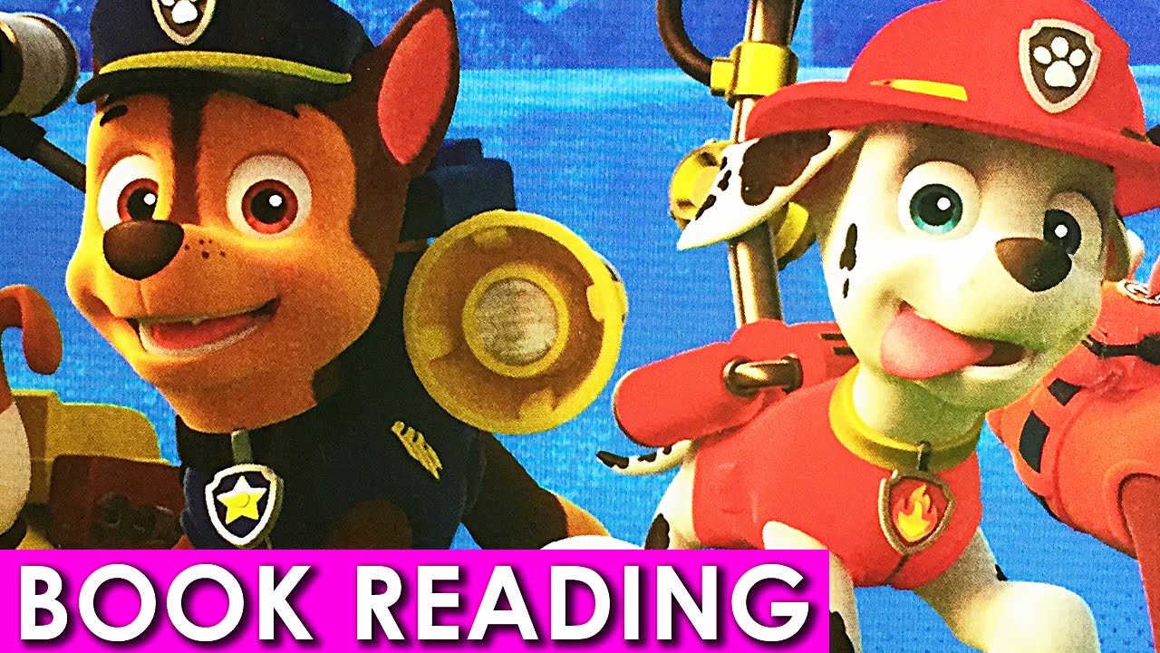 Paw Patrol Pups to the Rescue Nickelodeon Read Along Aloud Book