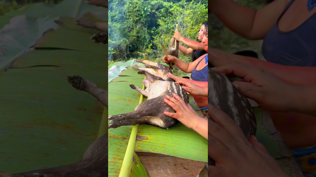 Cultura dos povos Ind&iacute;genas da Amaz&ocirc;nia